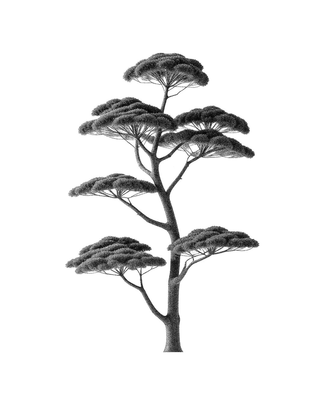 Nature, 나무