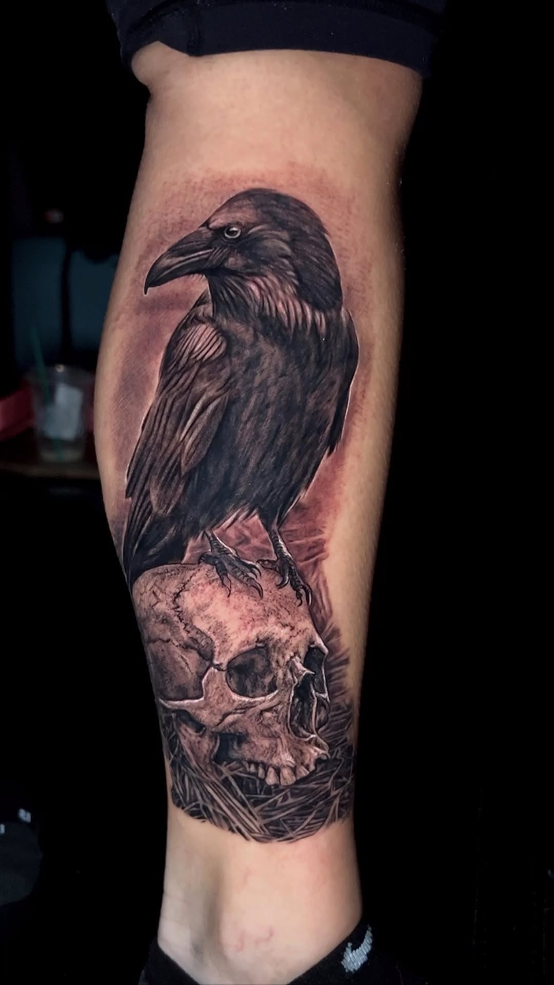 Animal