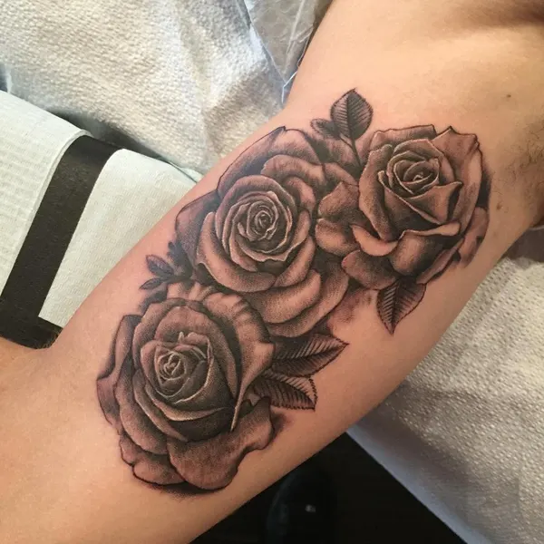 Flower, Rose