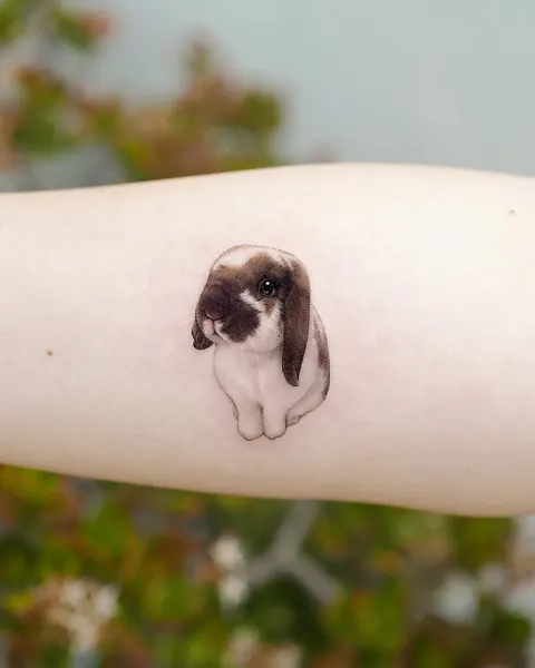 Animal
