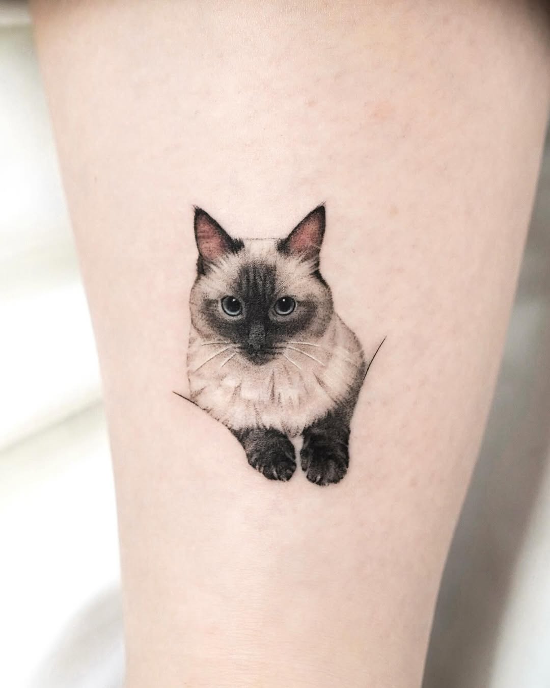 dorok.tattoo