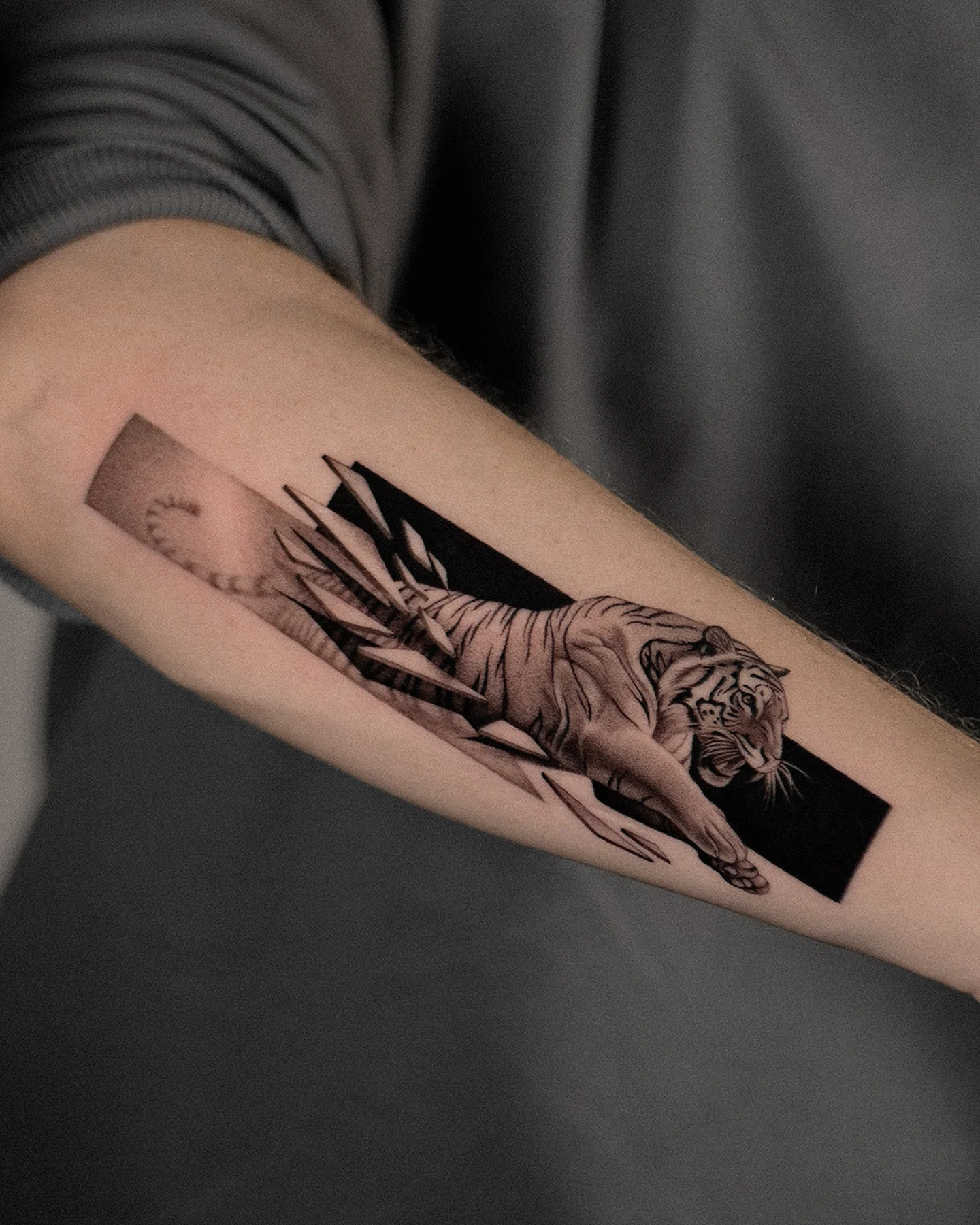 Tiger