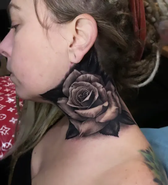Flower, Rose, Nature