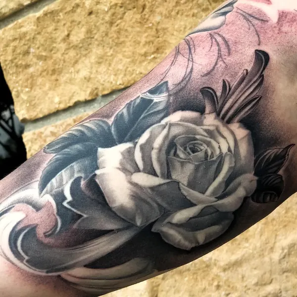 Flower, Rose