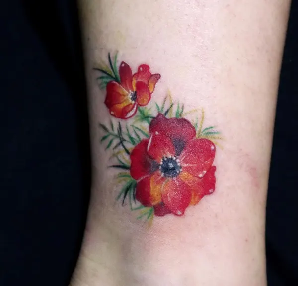 Flower, Rose