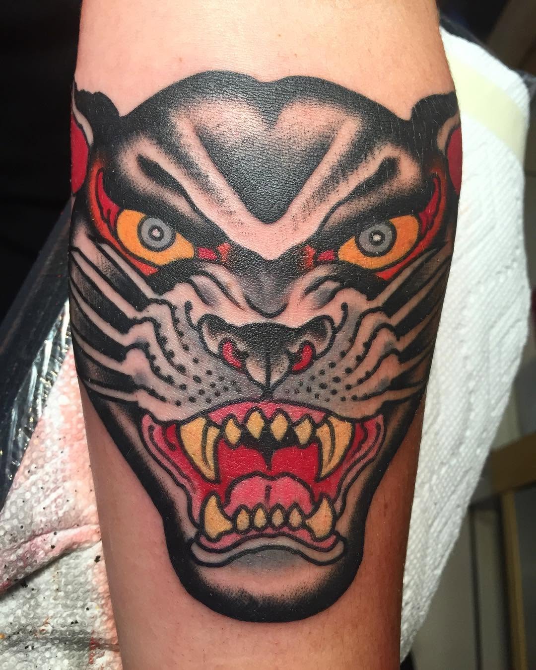 Tiger, Animal