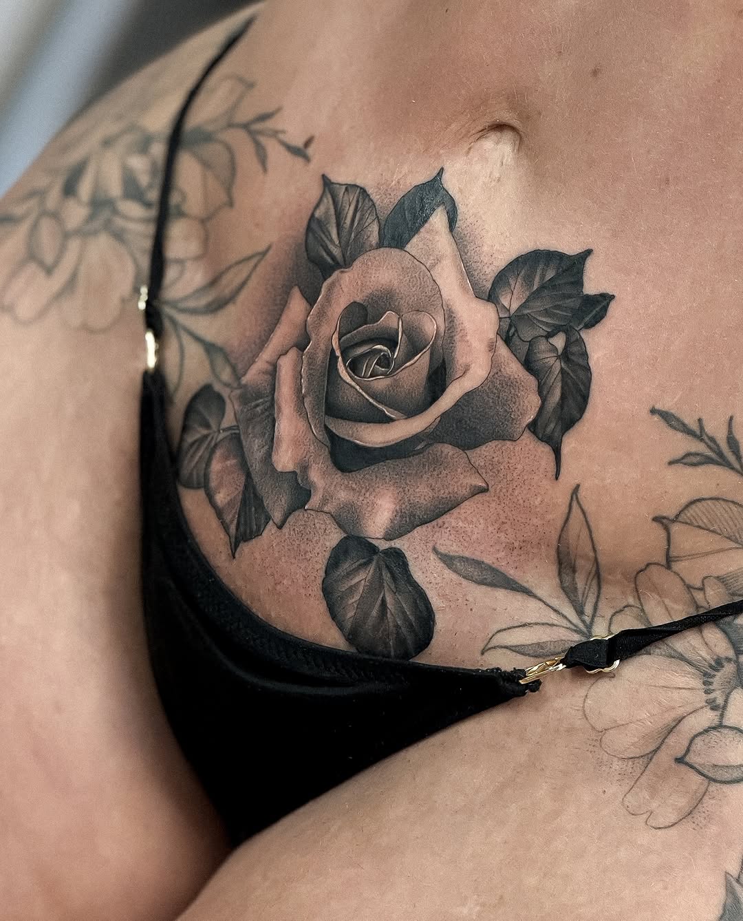 Flower, Rose, Nature