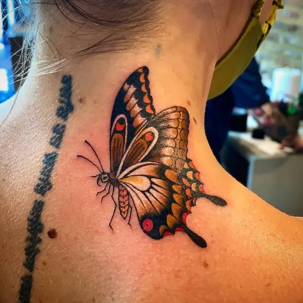 Animal, Nature