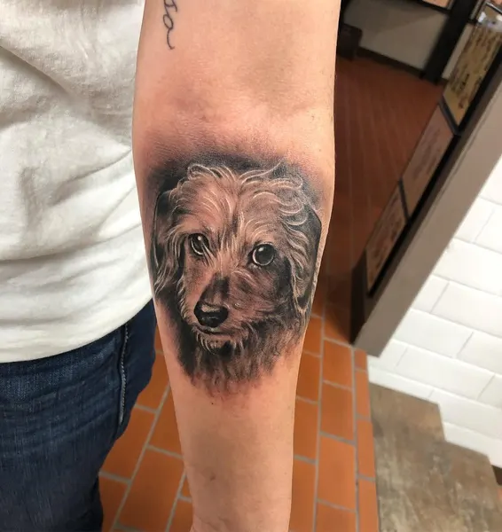 Animal