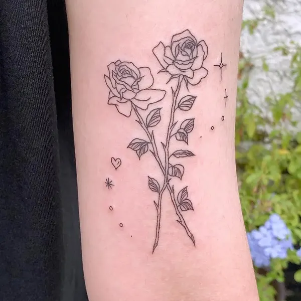 Flower, Rose, Nature