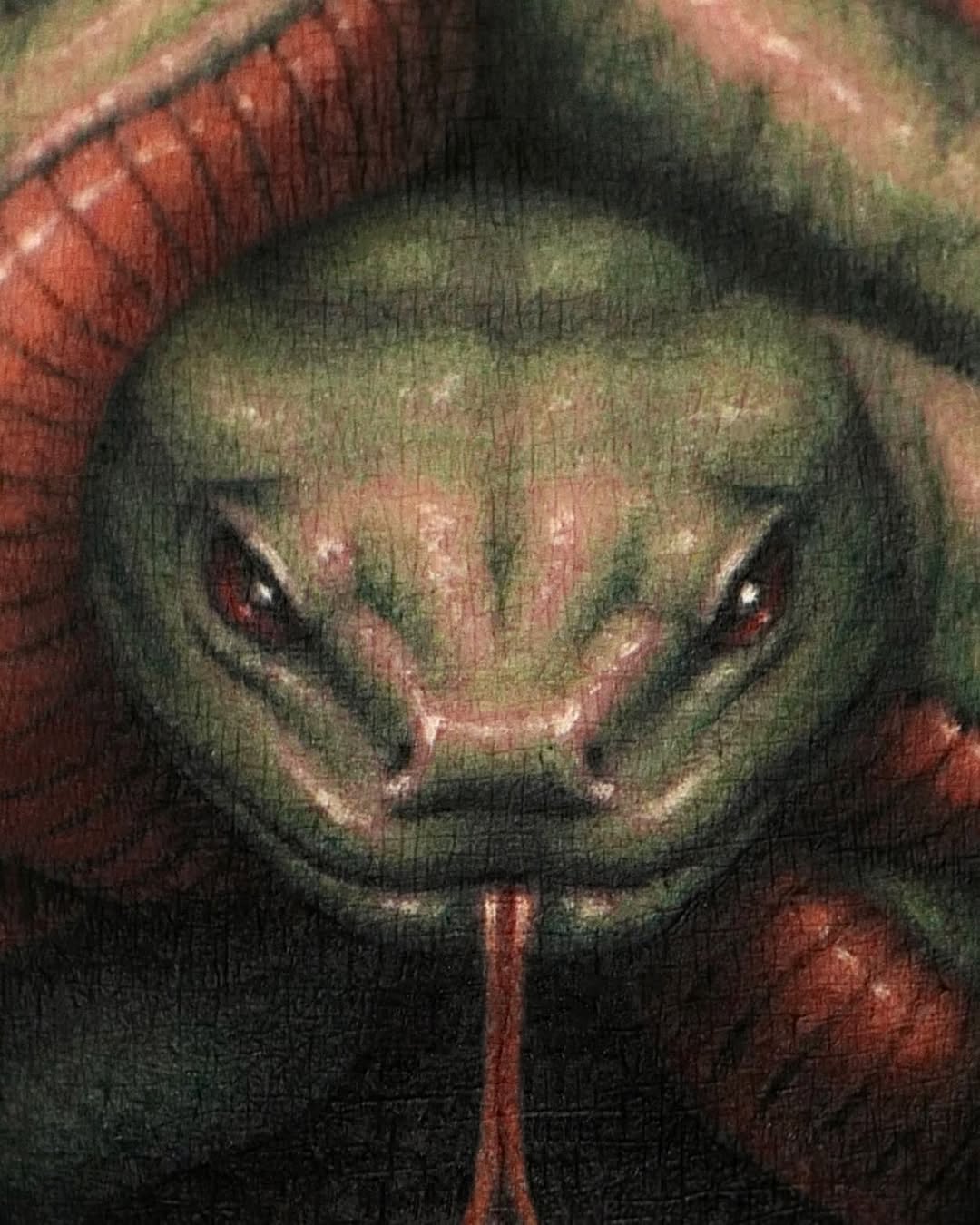 Animal, Snake