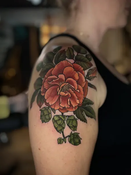 Flower, Rose, Nature