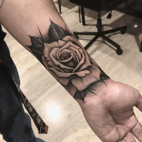 Flower, Rose, Nature
