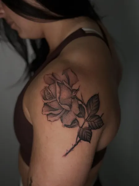 Flower, Rose, Nature