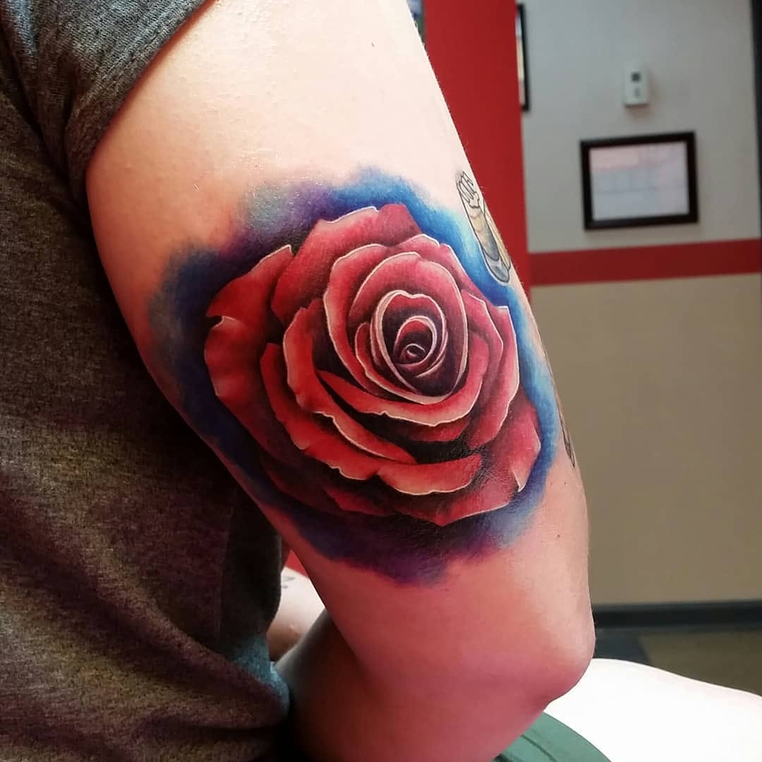 Flower, Rose, Nature