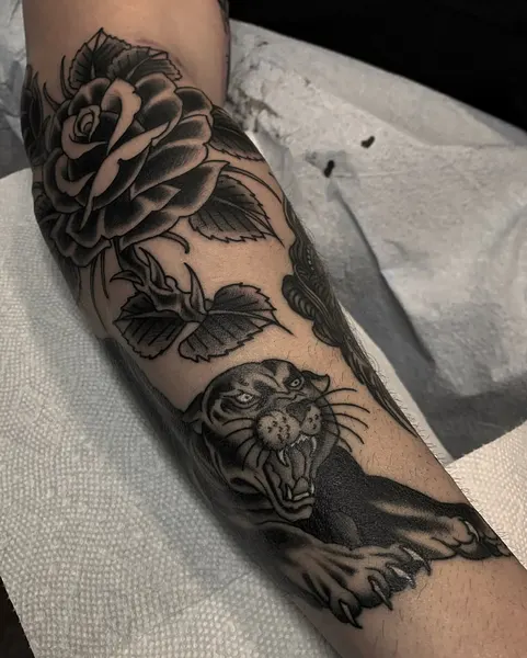 Tiger, Animal