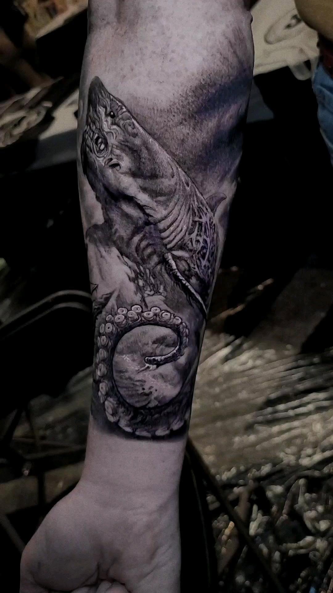 Animal, Dragon