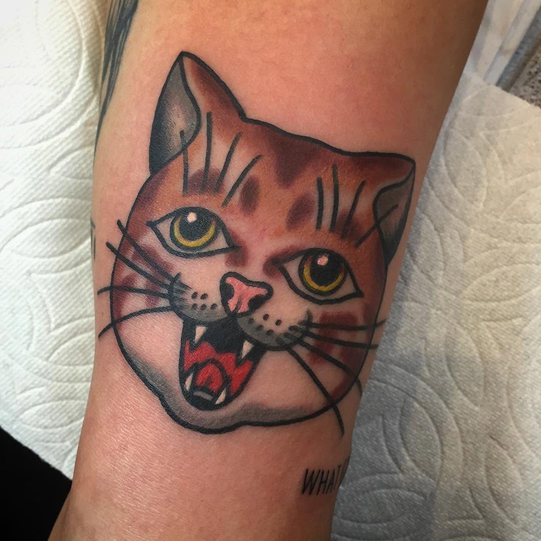 Animal