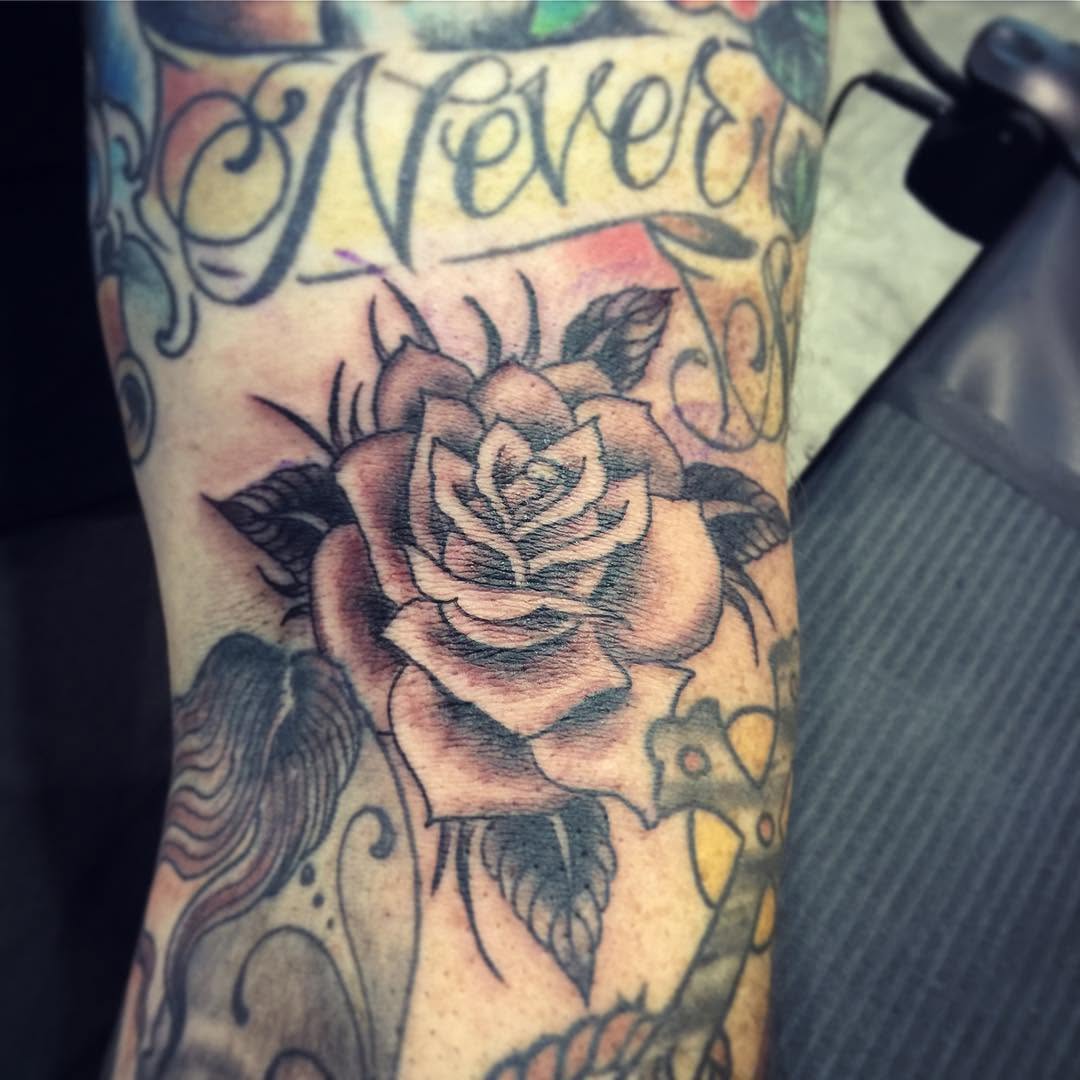 Flower, Rose, Lettering