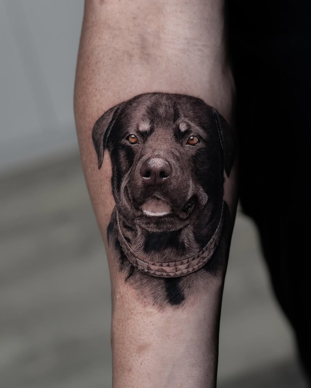 Animal