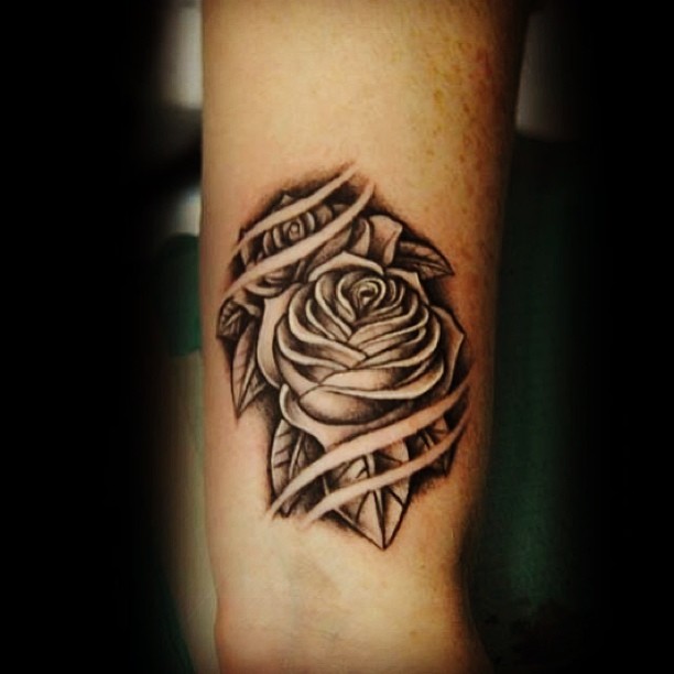 Flower, Rose