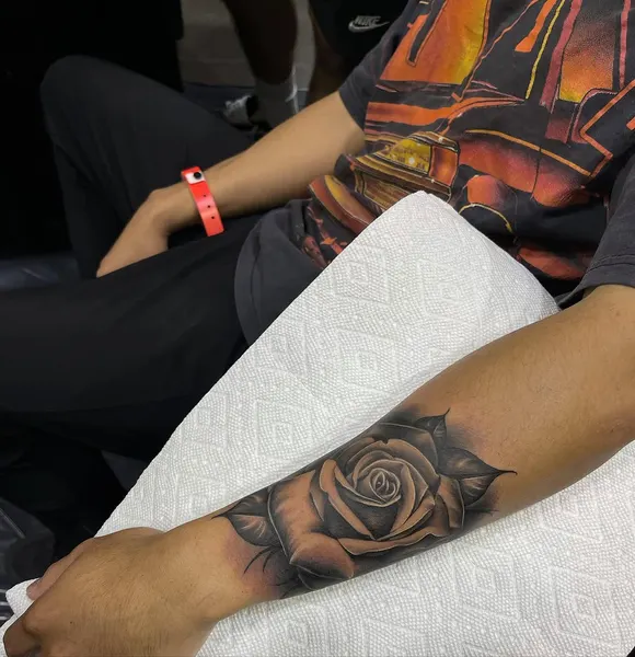Flower, Rose