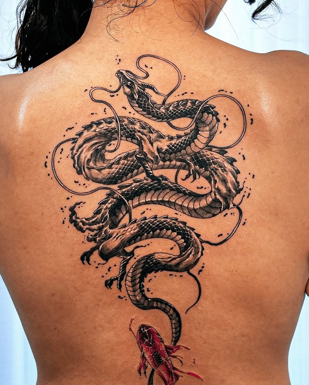 Dragon