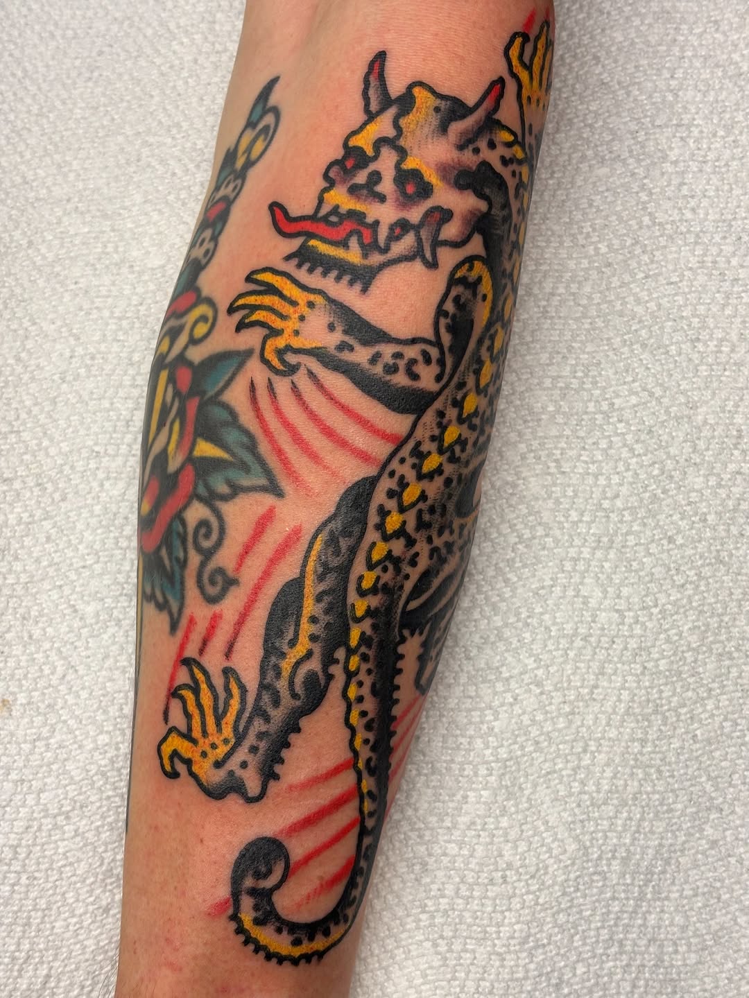 Dragon