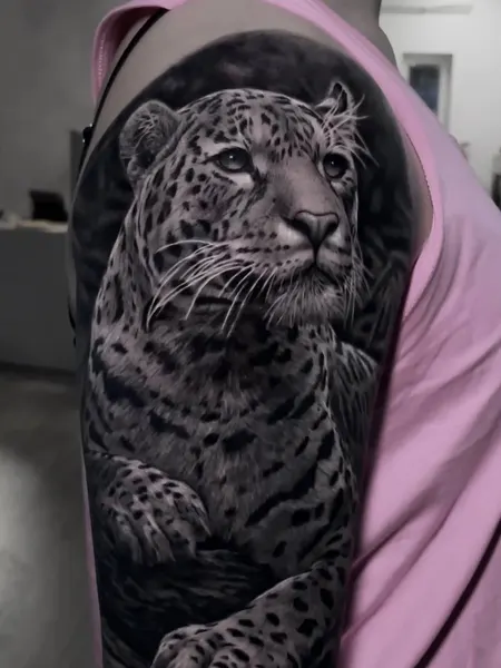 Animal