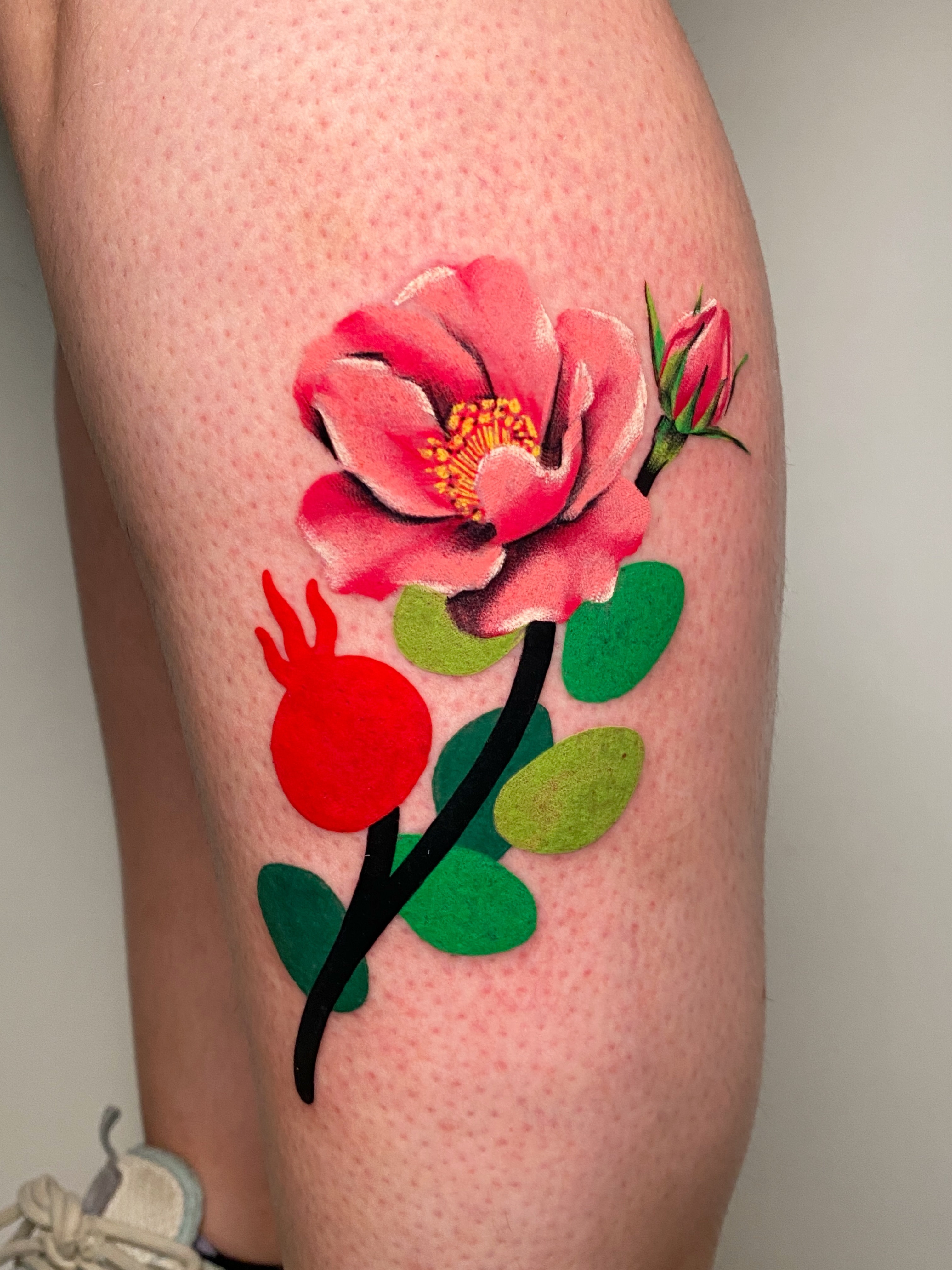 Flower, Rose
