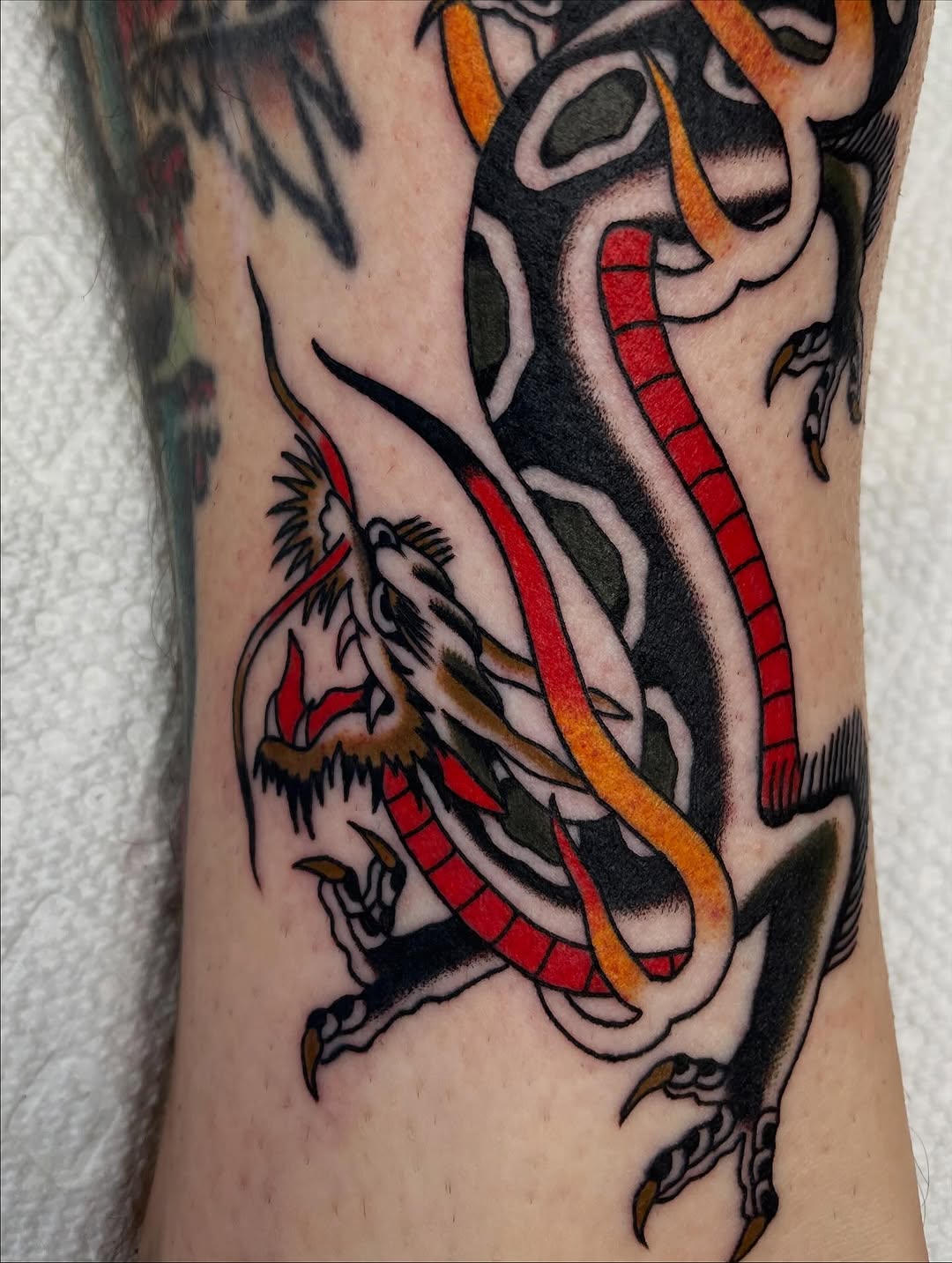 Dragon