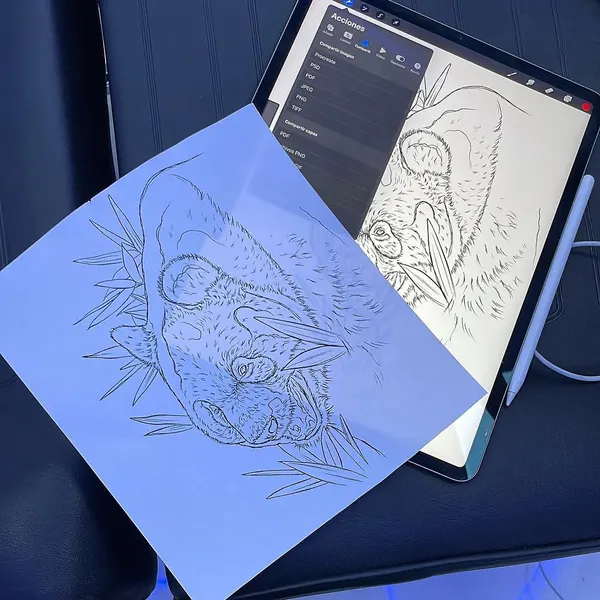 판다