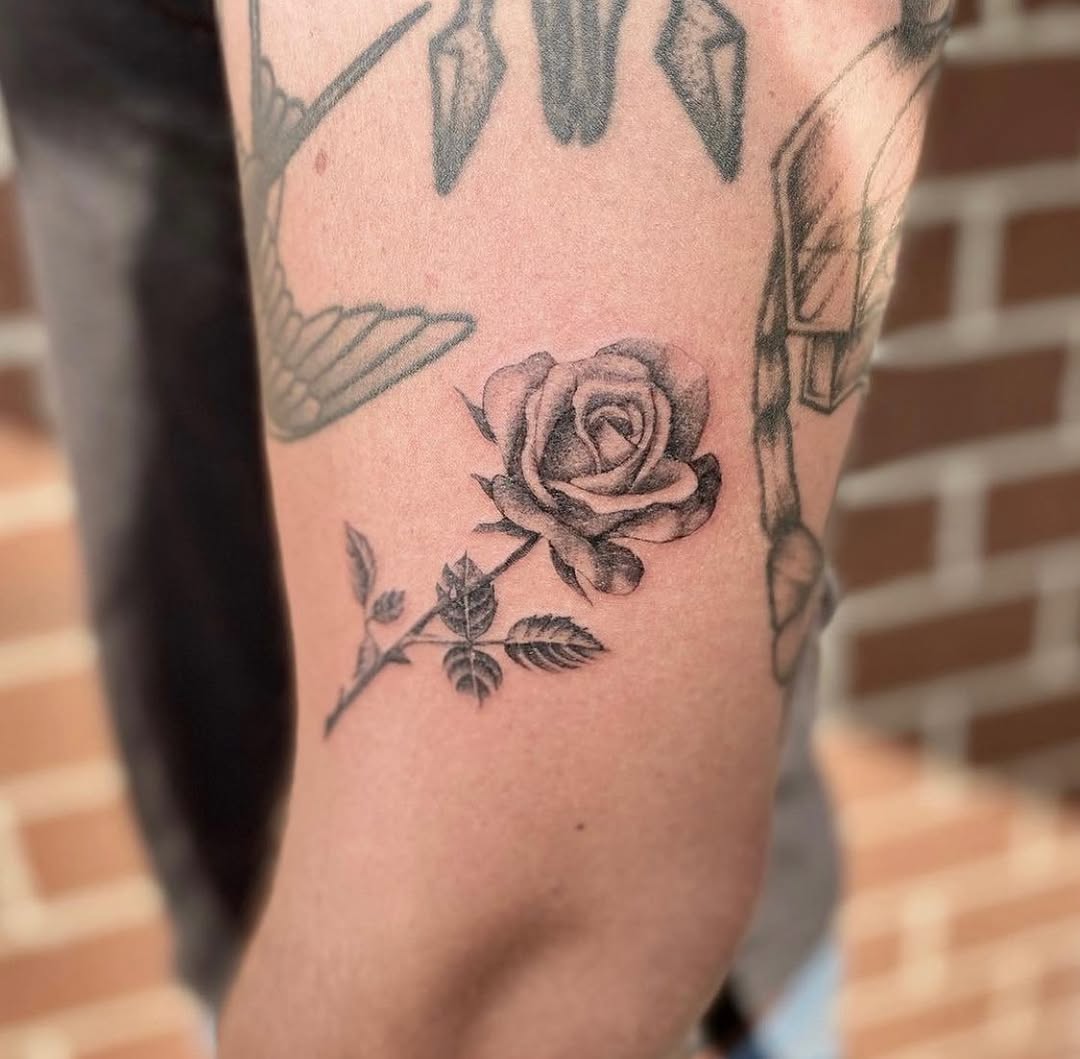 Flower, Rose
