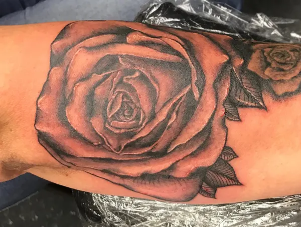 Flower, Rose