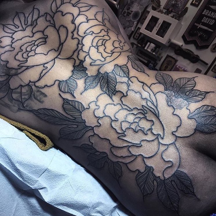Flower, Rose