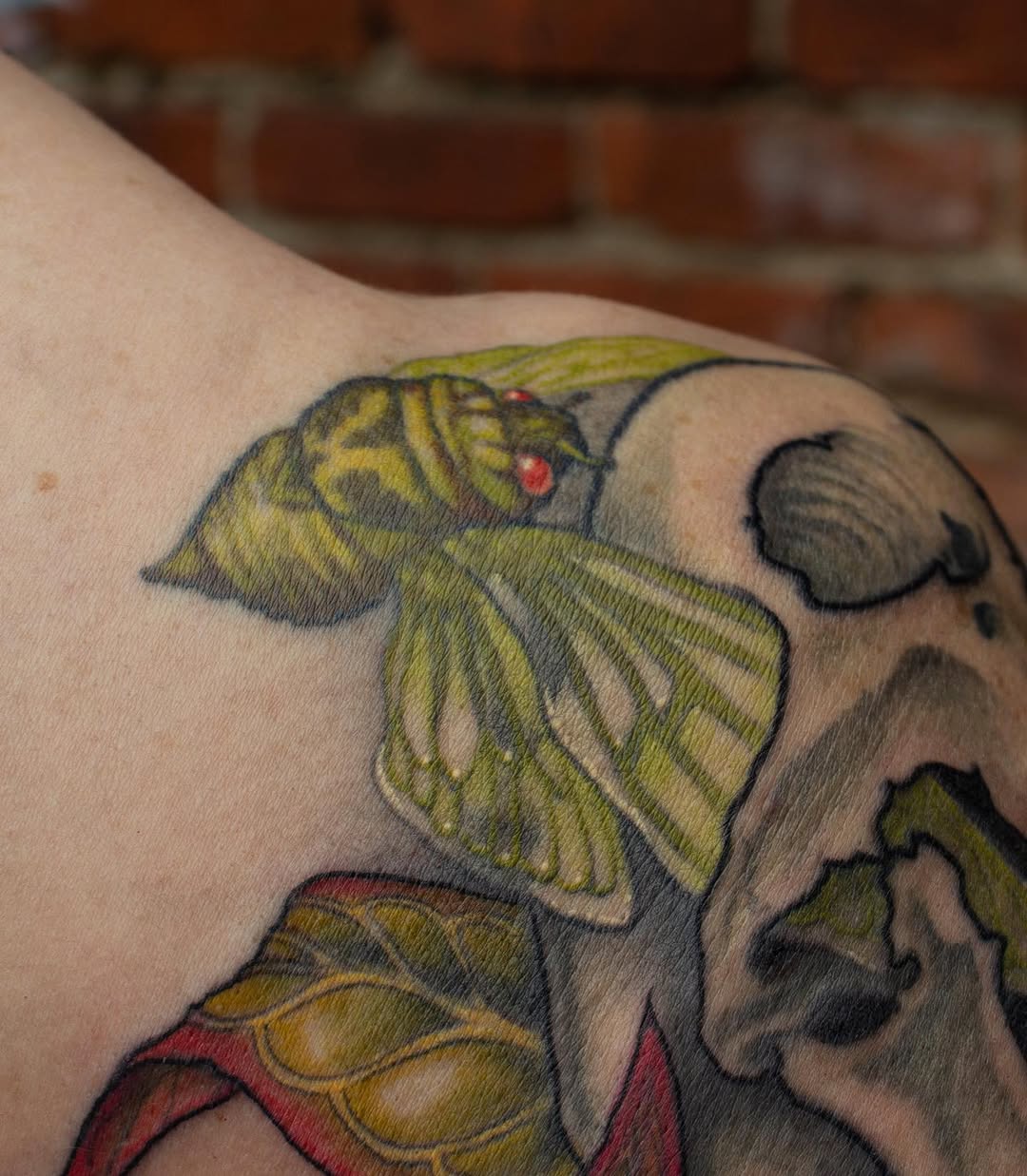 vitrioltattoo