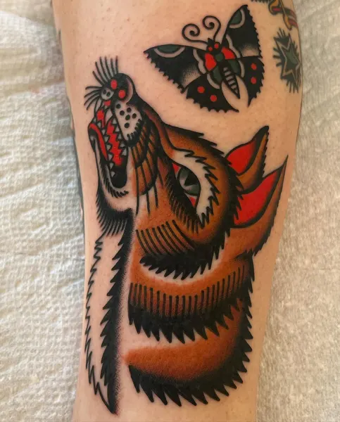 Tiger, Animal