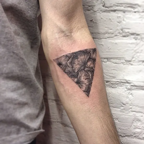 equilattera