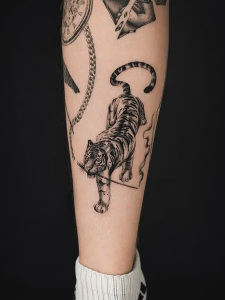 Tiger