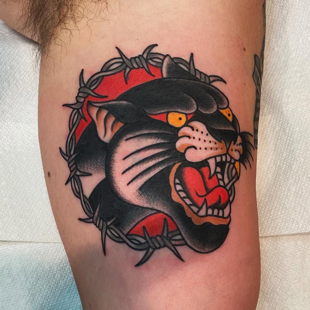Animal, Tiger