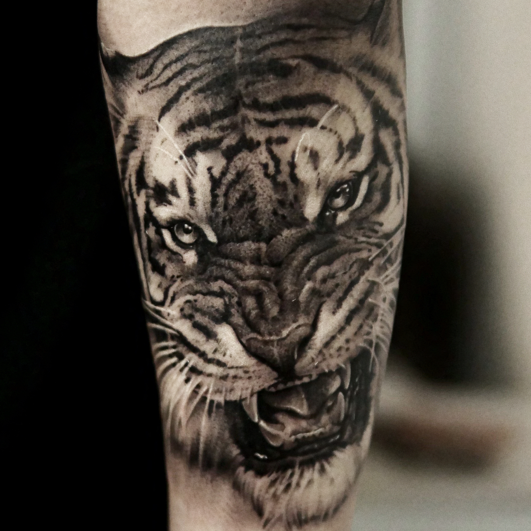 Tiger, 중국 호랑이, 한국 호랑이
