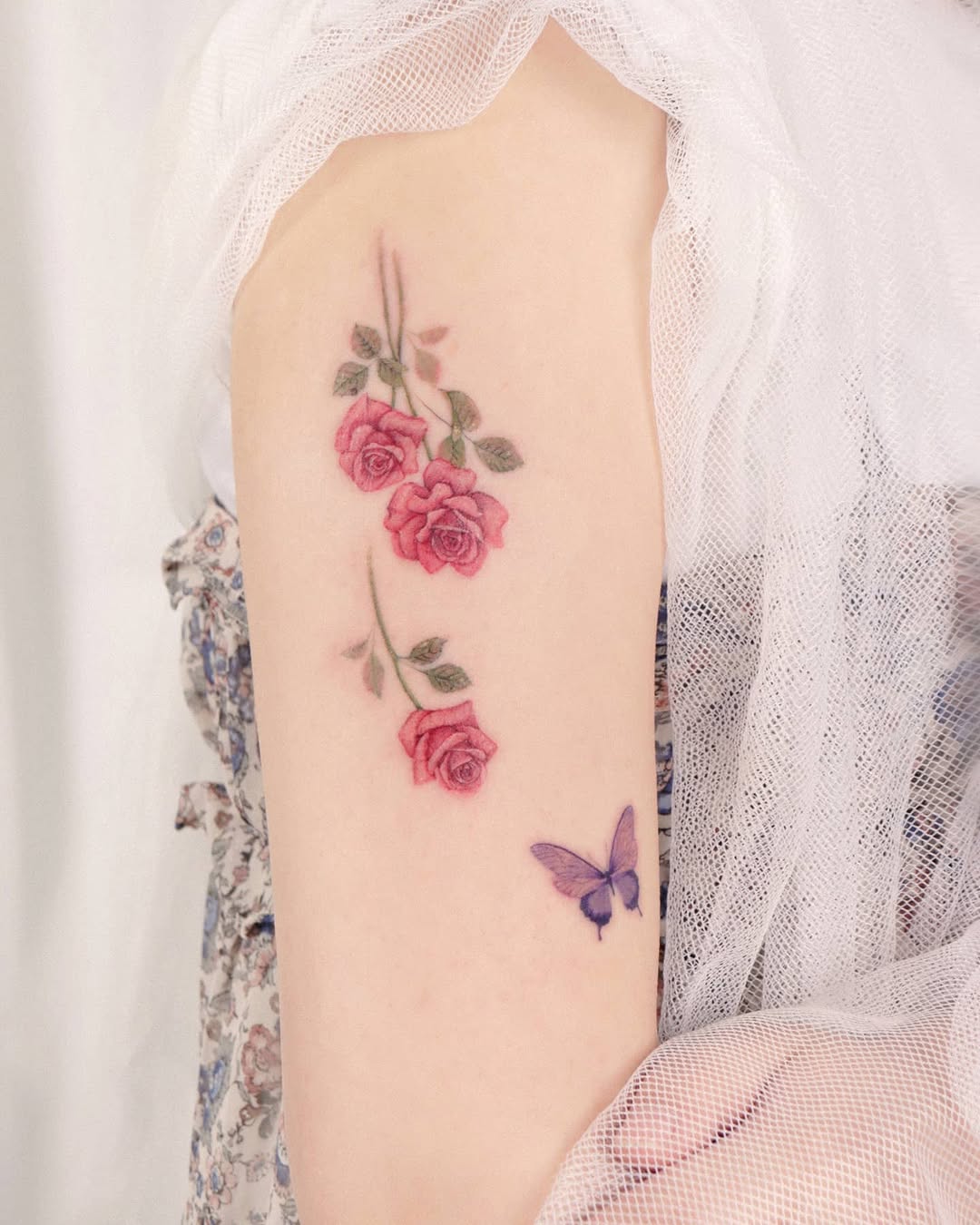 Flower, Rose, Nature