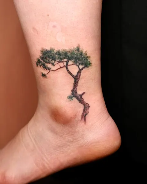 Nature, 나무, 소나무, 야자수