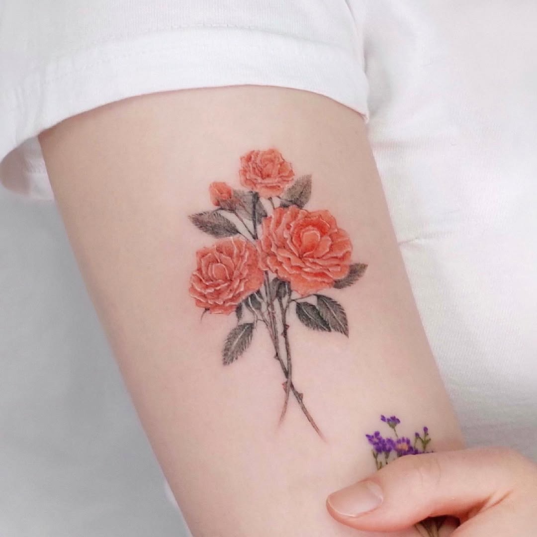 Flower, Rose
