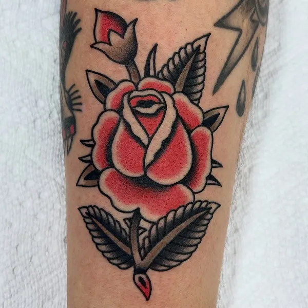 Flower, Rose