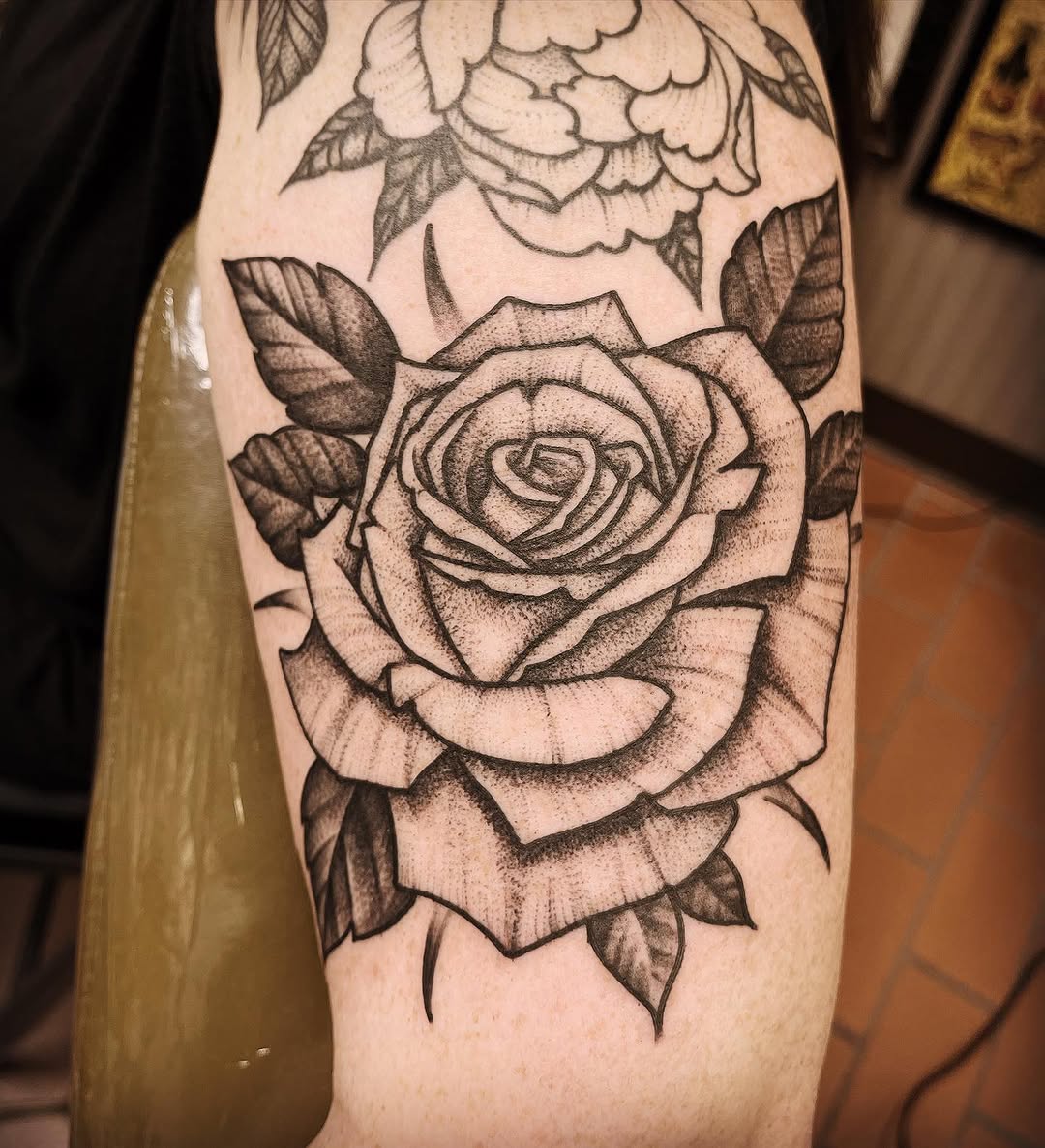 Flower, Rose