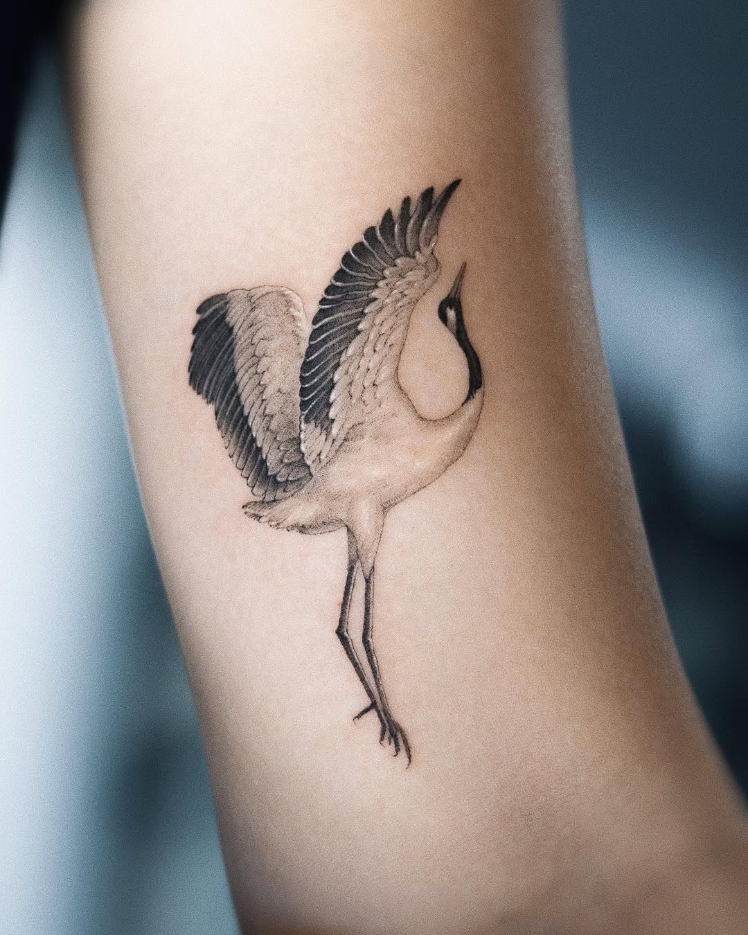 soltattoo