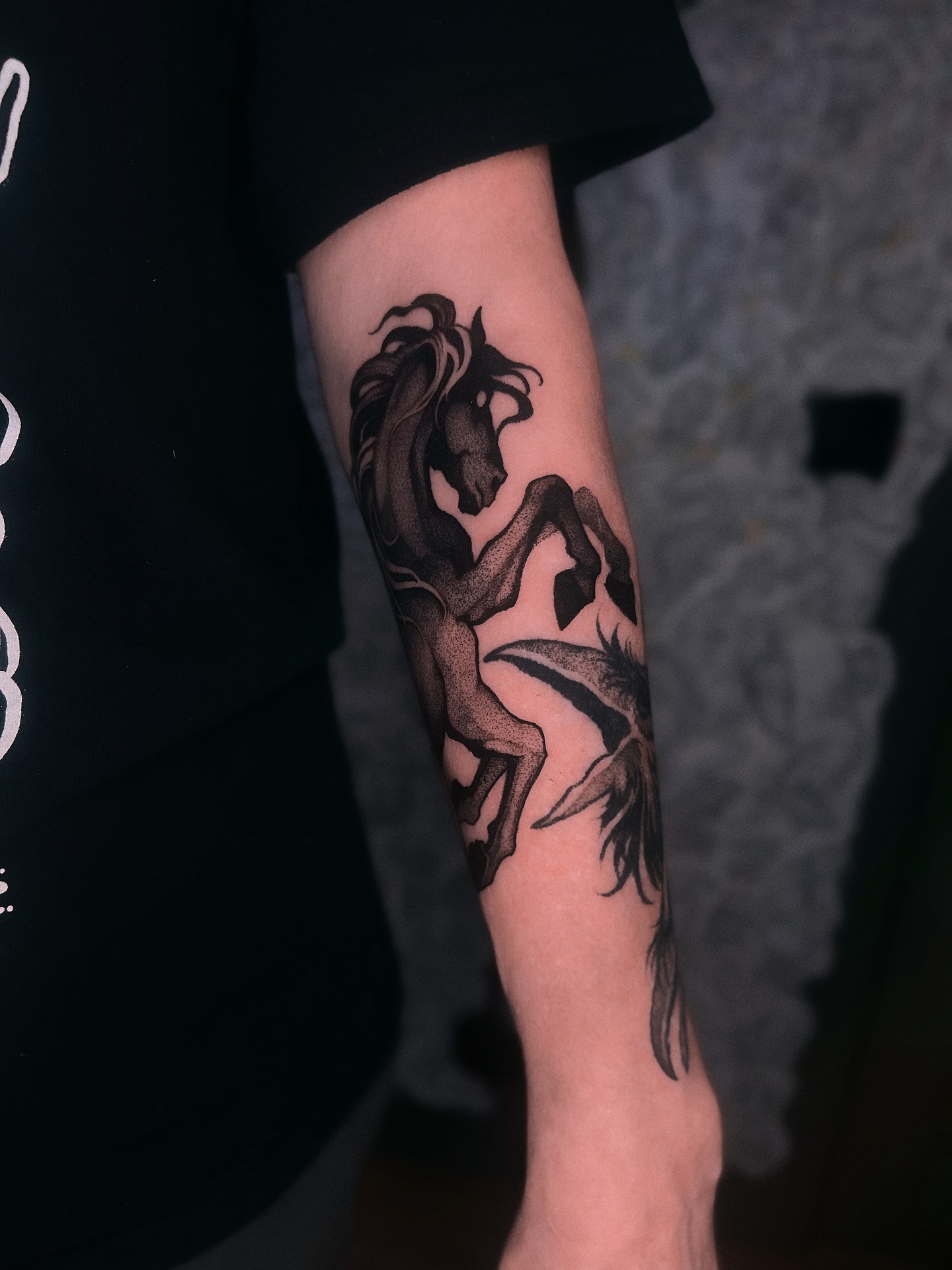 zu_immortal