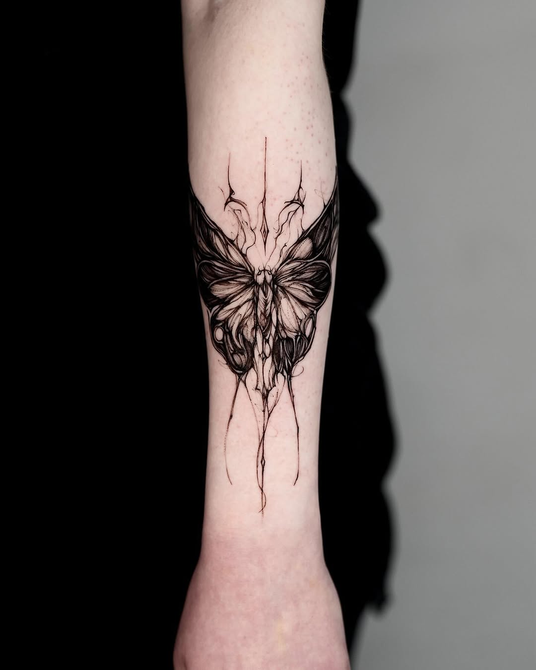 Animal, Nature