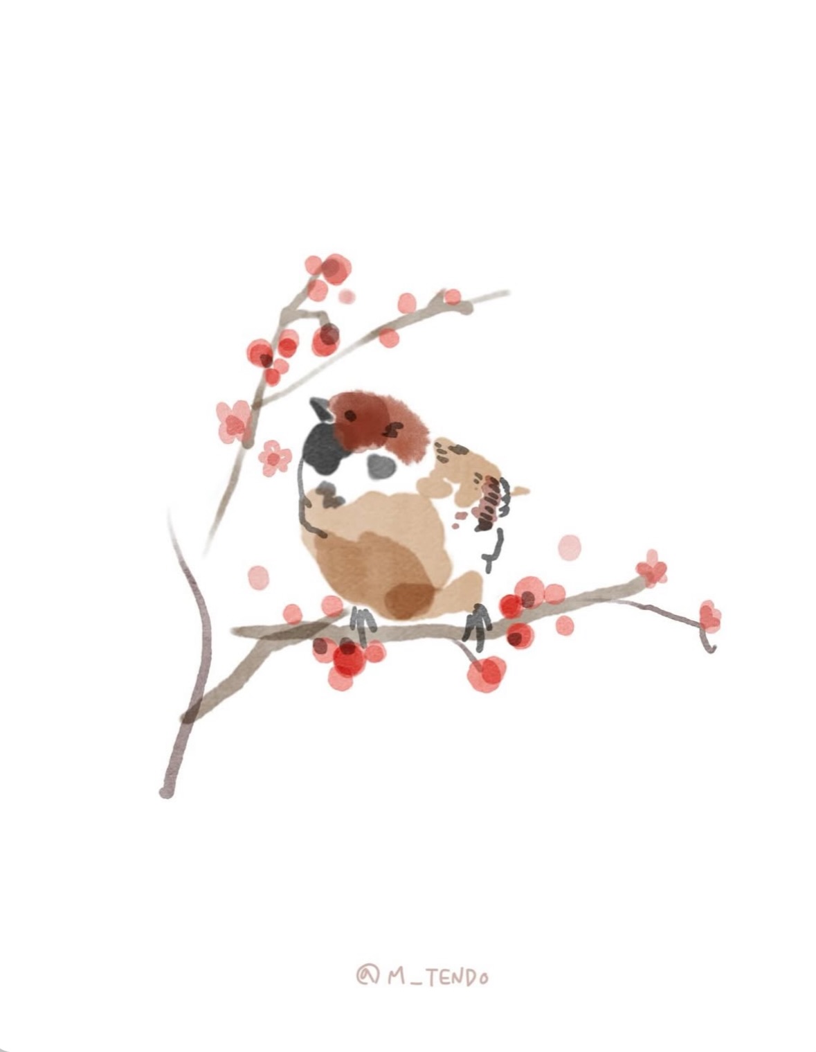 Animal, Flower
